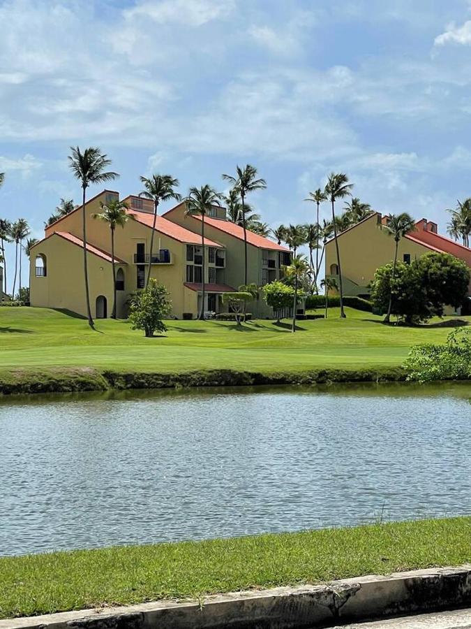 Carey Beach Villa Humacao Extérieur photo