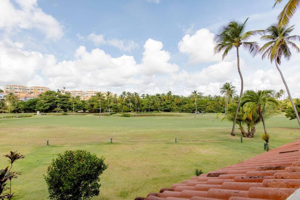 Carey Beach Villa Humacao Extérieur photo